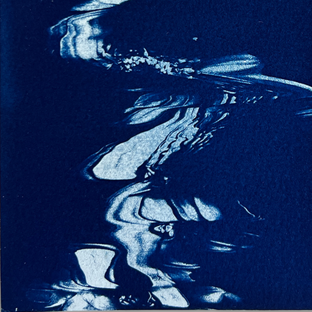 Dripping Flower | Cyanotype Print
