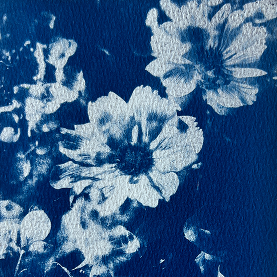 Flowers in Bloom | Cyanotype Print