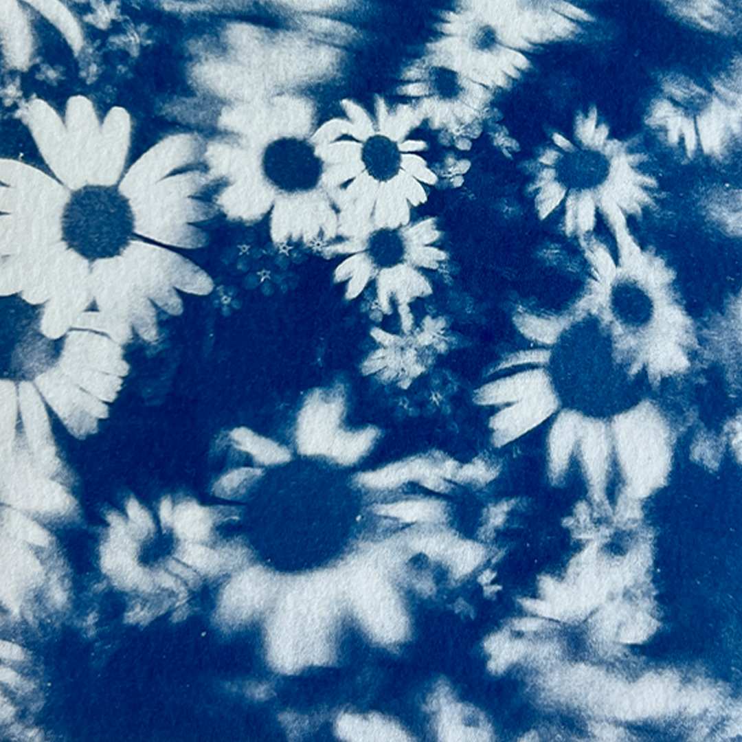 Field of Flowers | Cyanotype Print