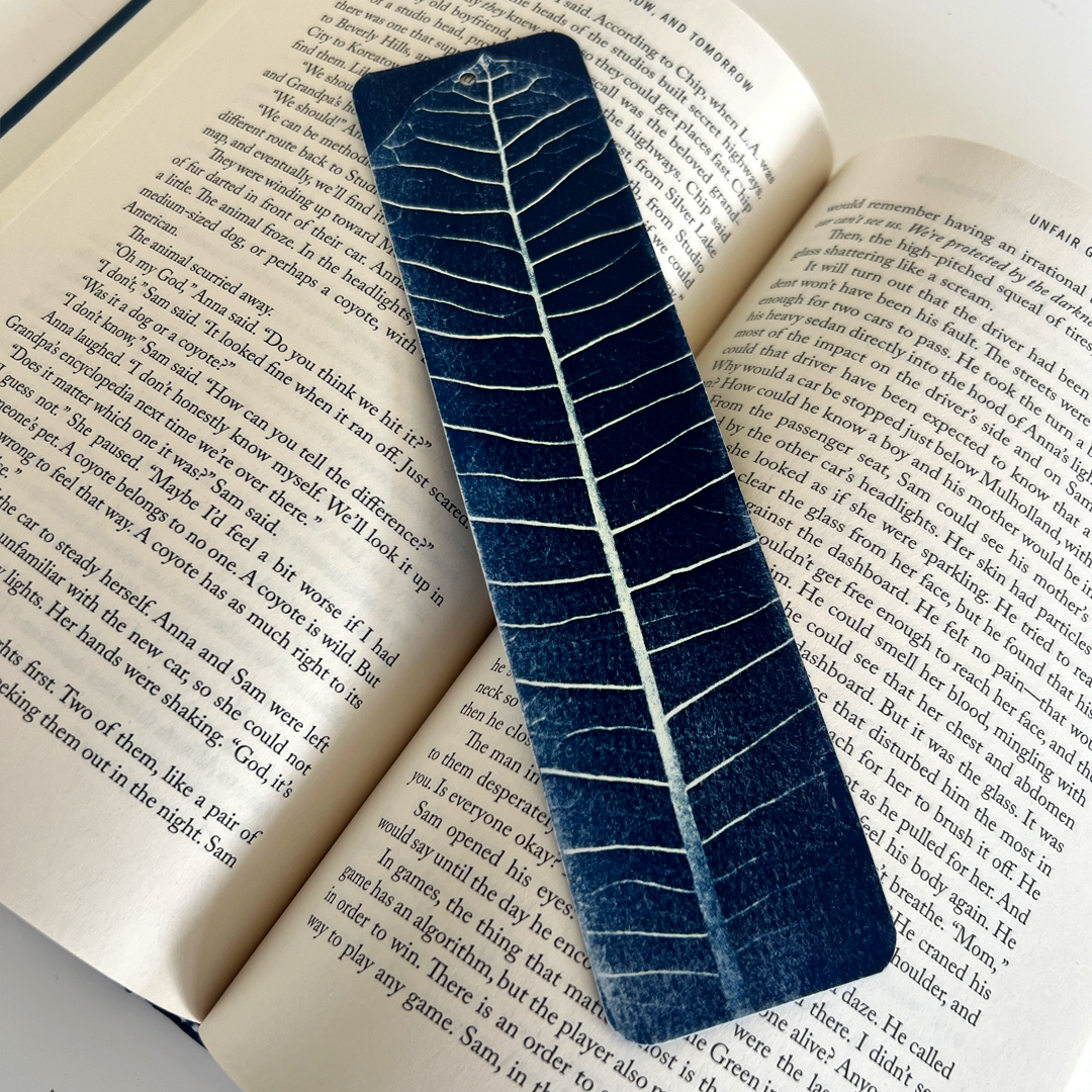 The Anatomy of a Leaf | Bookmark