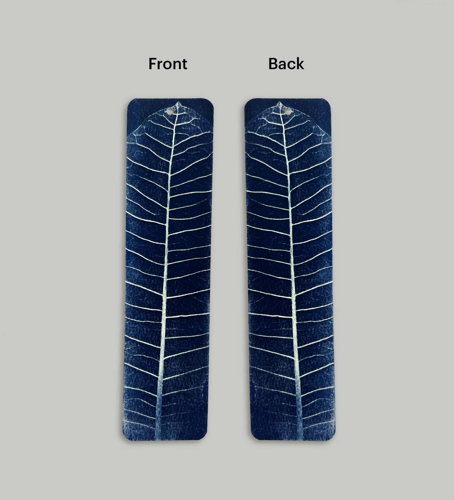 The Anatomy of a Leaf | Bookmark