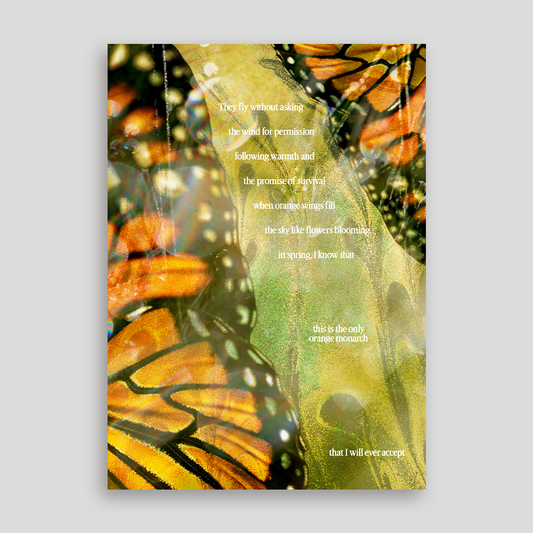 Art Print | Orange Monarchs