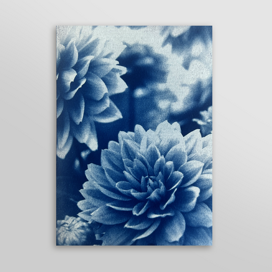 Flowers in Bloom | Cyanotype Print