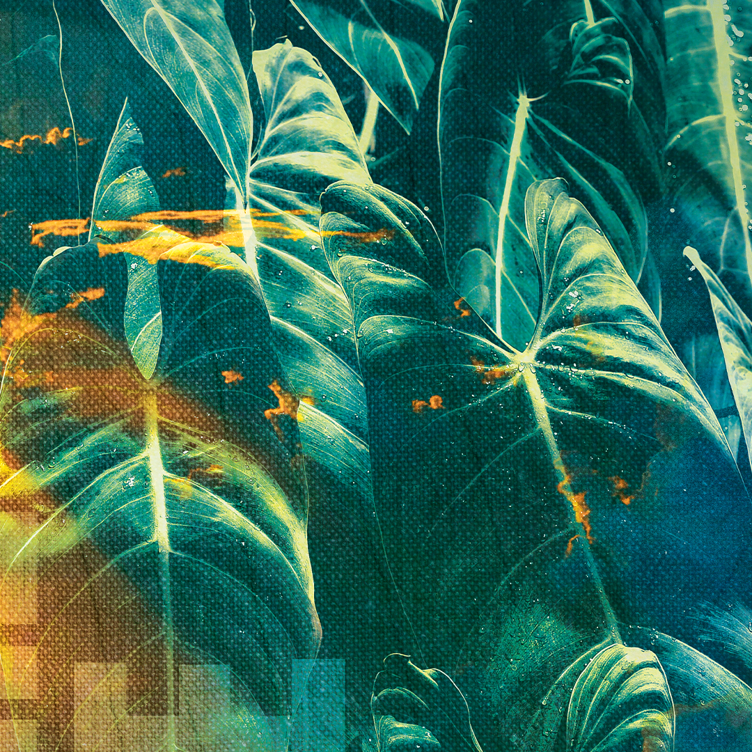 Nurture Nature | Art Print