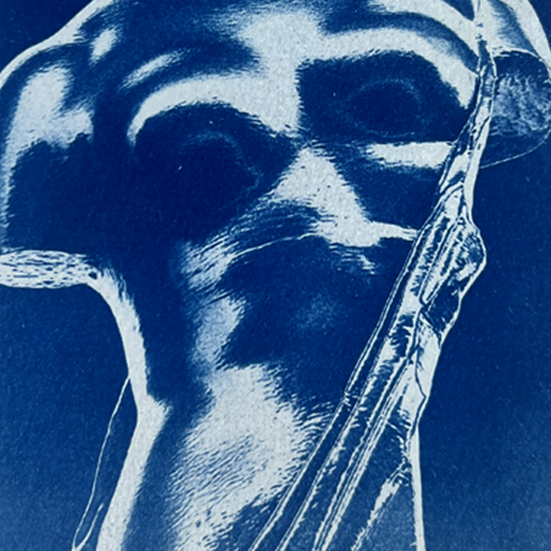 Bust | Cyanotype Print