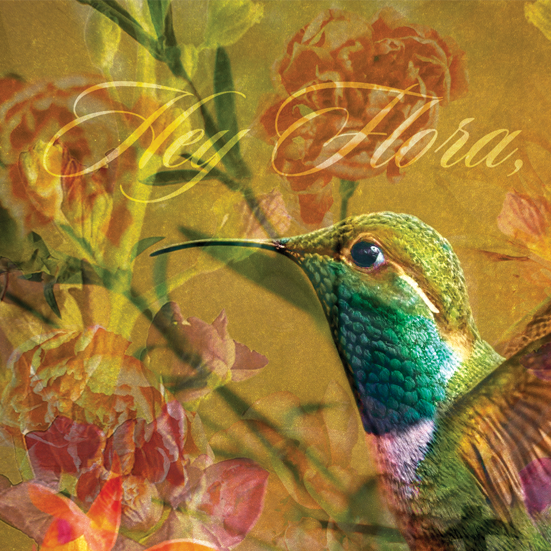 Hey Flora, It's Fauna | Art Print