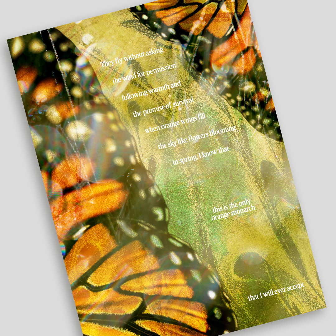 Orange Monarchs | Art Print