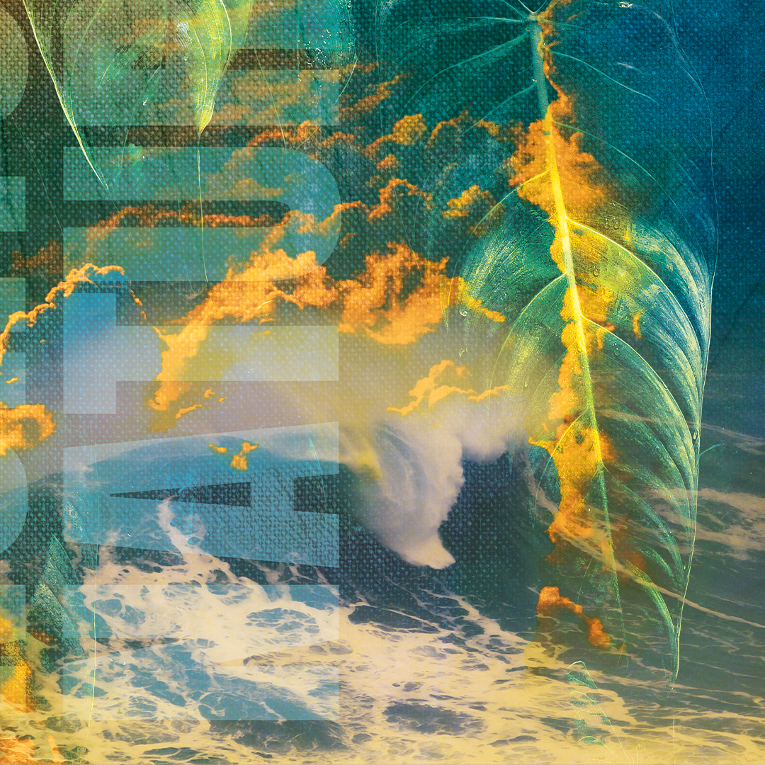 Nurture Nature | Art Print
