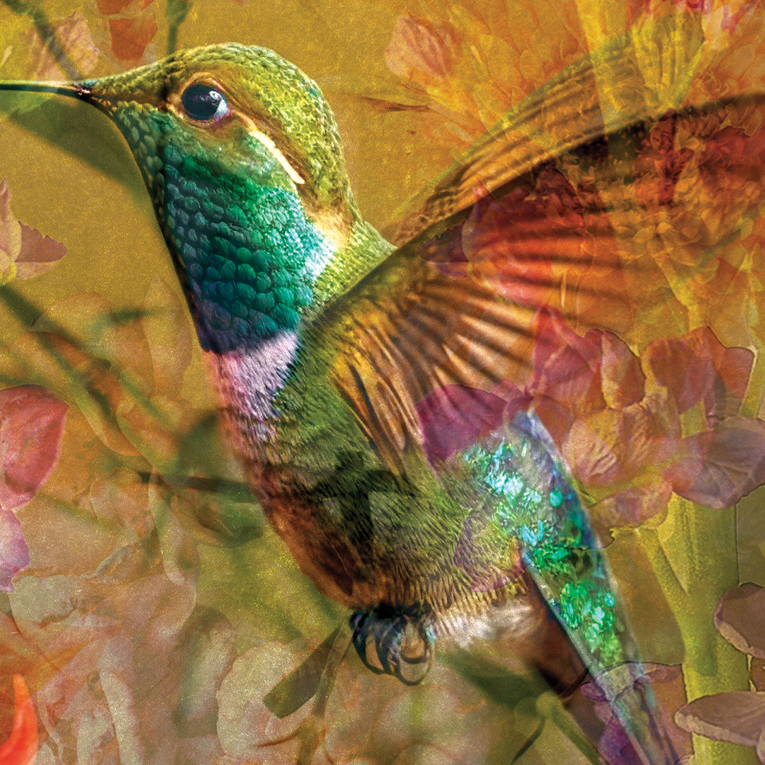 Hey Flora, It's Fauna | Art Print