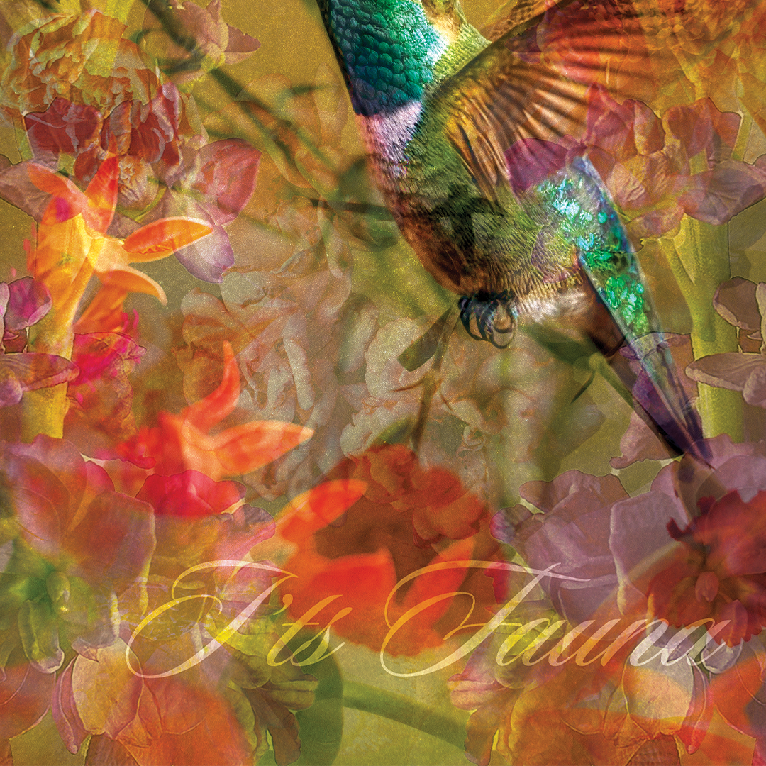 Hey Flora, It's Fauna | Art Print