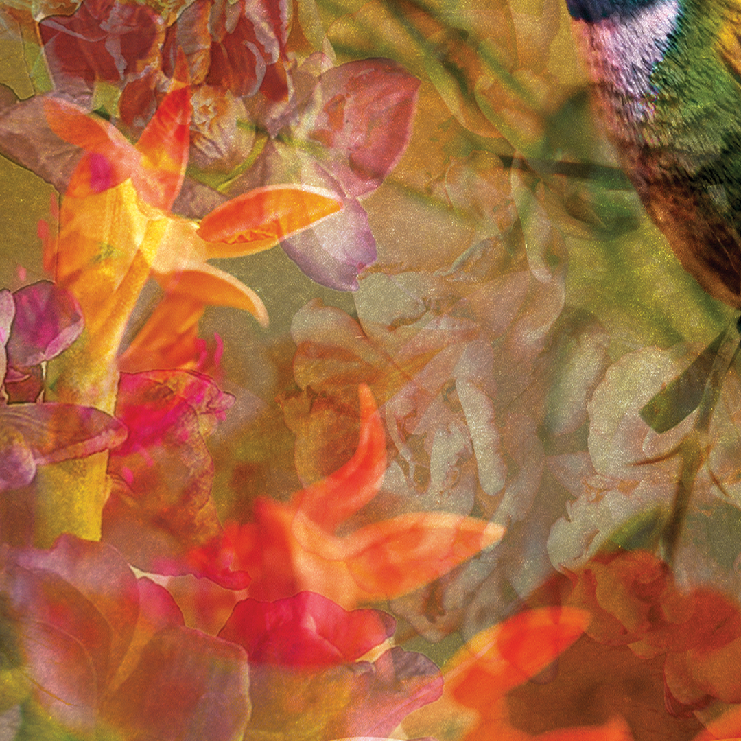 Hey Flora, It's Fauna | Art Print
