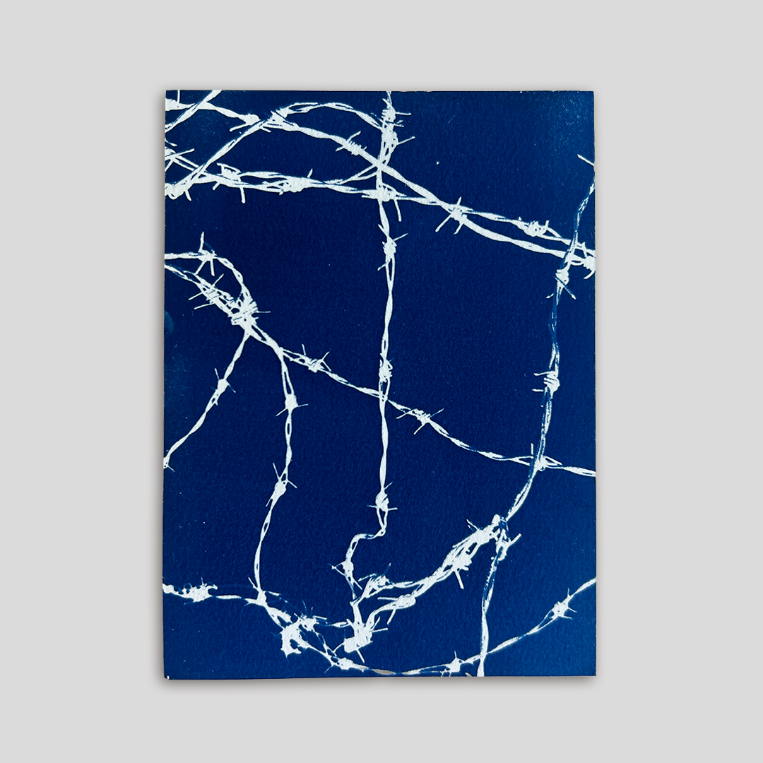 Blue Barbs | Cyanotype Print