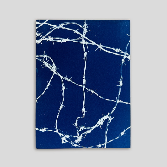 Blue Barbs | Cyanotype Print