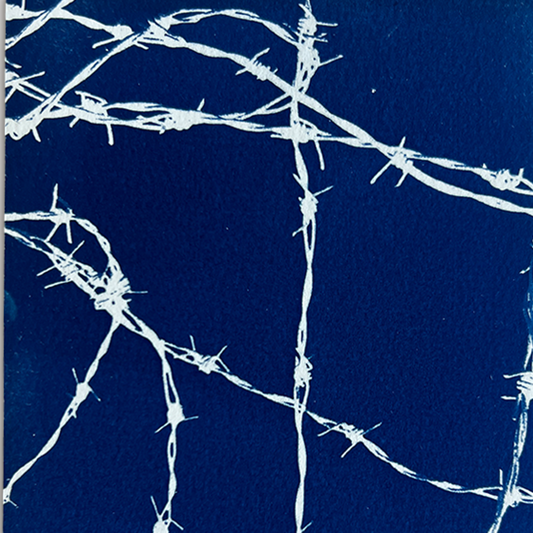 Blue Barbs | Cyanotype Print