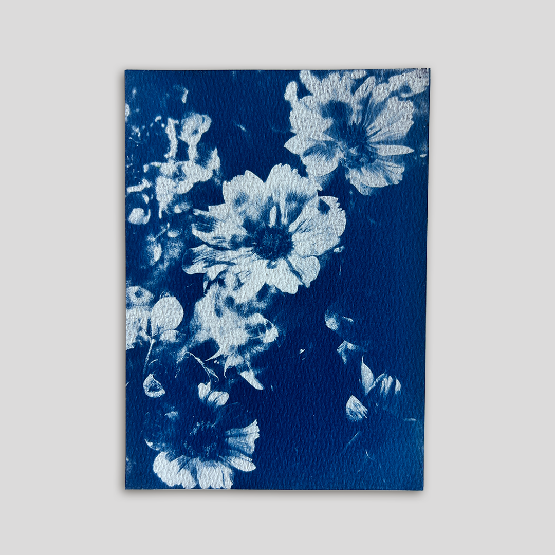 Flowers in Bloom | Cyanotype Print
