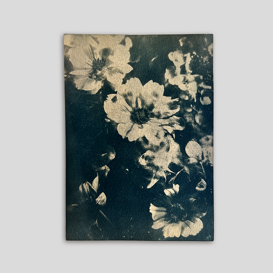 Flowers in Bloom (toned) | Cyanotype Print