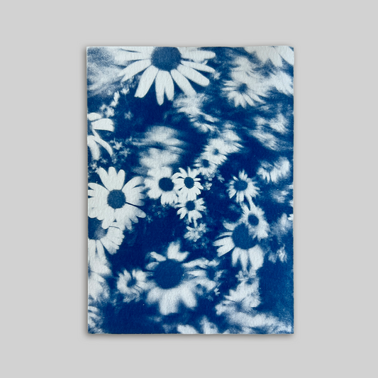 Field of Flowers | Cyanotype Print