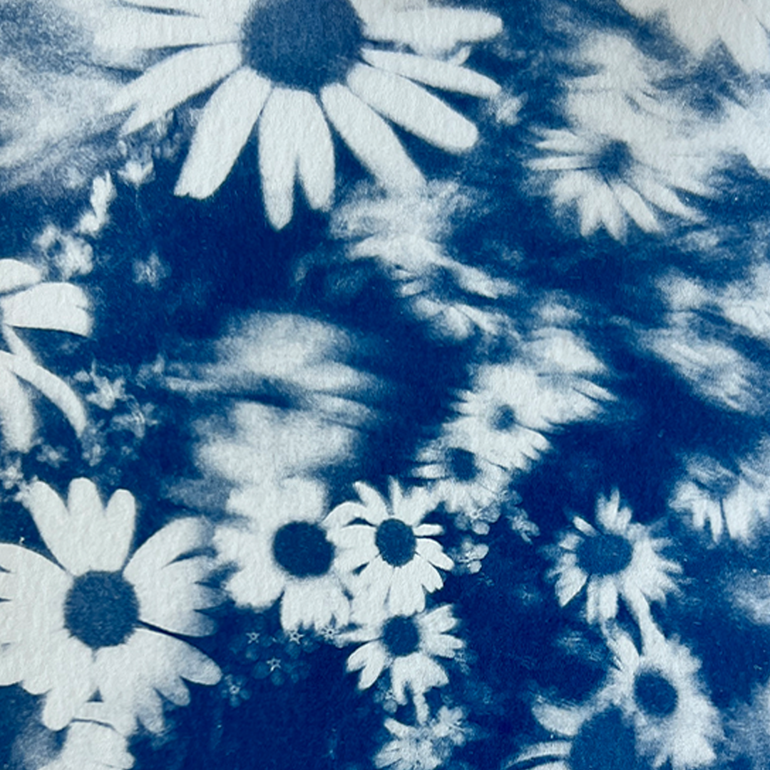 Field of Flowers | Cyanotype Print